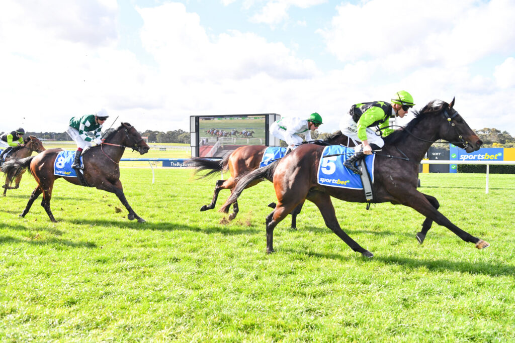 Jockeys ride racing horses on a grassy track under a blue sky with a large screen in the background.