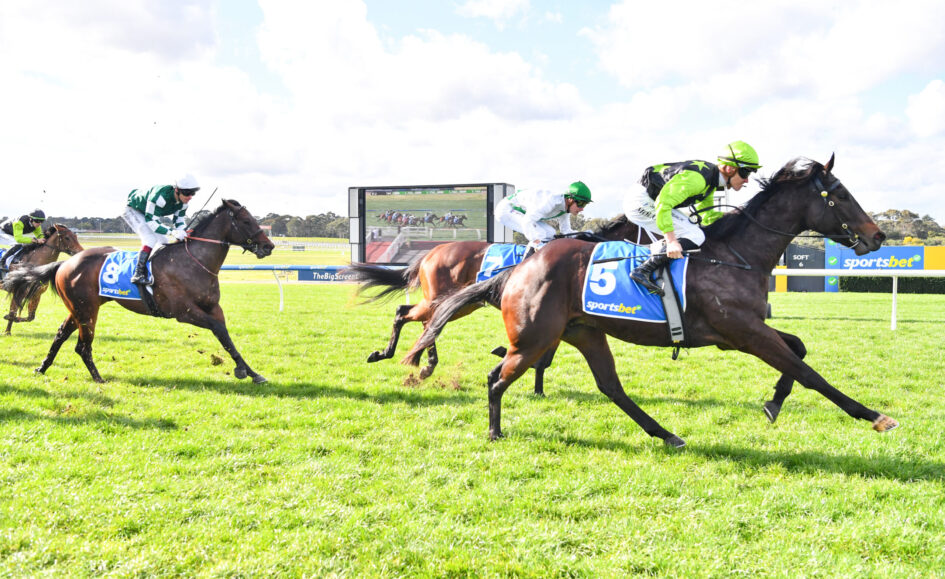 Jockeys ride racing horses on a grassy track under a blue sky with a large screen in the background.