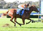 Brown racehorse with an orange-clad jockey leaping a hurdle on a sunny turf horse race track.