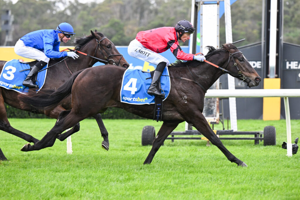 Two jockeys ride dark horses at full speed over a hurdle during a turf horse race, blue number 3 and blue number 4 saddles visible with sponsor logos on their blankets.