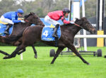 Two jockeys ride dark horses at full speed over a hurdle during a turf horse race, blue number 3 and blue number 4 saddles visible with sponsor logos on their blankets.