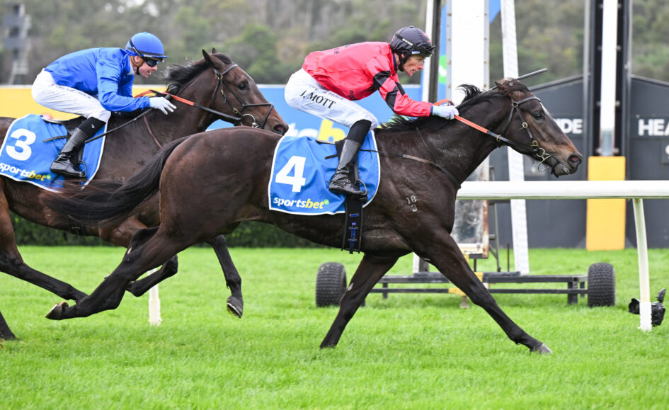 Two jockeys ride dark horses at full speed over a hurdle during a turf horse race, blue number 3 and blue number 4 saddles visible with sponsor logos on their blankets.