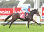 Jockey in blue and white silks riding a brown horse mid-race on a grassy track with red Ladbrokes signage in the background