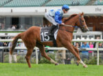 Jockey in blue silks rides a brown racehorse wearing number 15 on a turf racetrack, mid-gallop with spectators in the background.