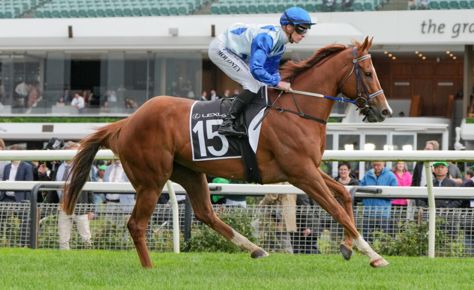 Jockey in blue silks rides a brown racehorse wearing number 15 on a turf racetrack, mid-gallop with spectators in the background.