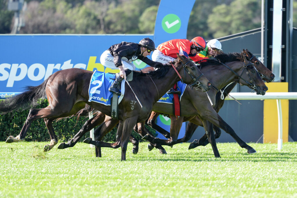Jockeys in colorful silks ride racing horses at full gallop on a bright track, with a blue advertising wall in the background and grass underfoot.