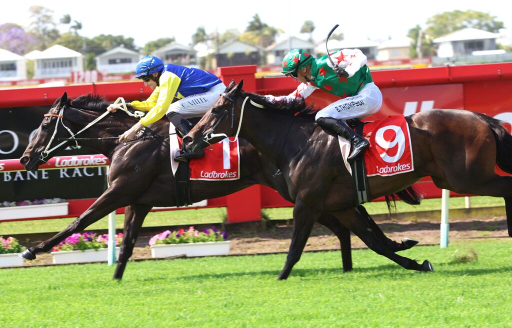 Two jockeys ride fast near the finish line on dark horses, wearing bright silks and red saddlecloths with Ladbrokes visible in the background.”,