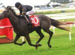 Dark horse and jockey mid-stride on a racecourse, rider in black helmet and star-pattern silks, red saddlecloth with number 70 ahead on the track.