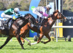 Two jockeys in mid-air over a hurdle, racing on brown horses wearing green and pink silks.
