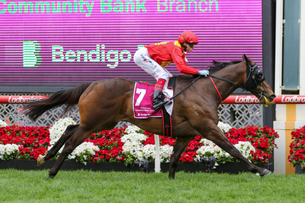 Jockey in red and yellow silks riding a brown horse over a hurdle, number 7, with a pink floral hurdle backdrop and a purple scoreboard behind.