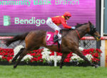 Jockey in red and yellow silks riding a brown horse over a hurdle, number 7, with a pink floral hurdle backdrop and a purple scoreboard behind.