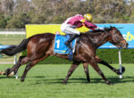 Jockey in maroon and yellow silks riding a dark brown horse at full gallop on a grassy racecourse with blurred background barriers.