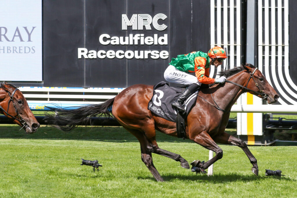 Jockey in orange and green silks riding a racehorse past the Caulfield Racecourse sign at a finish-style gate.