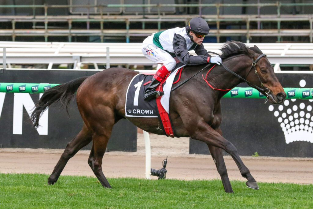 Jockey wearing white-green silks rides dark brown horse at a sprint race on a dirt track, green grass in foreground, banners in background