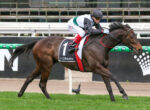 Jockey wearing white-green silks rides dark brown horse at a sprint race on a dirt track, green grass in foreground, banners in background