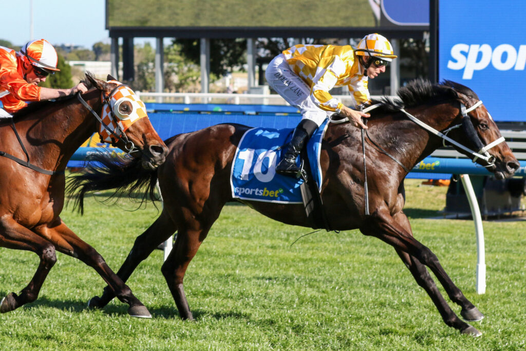 Two jockeys race on brown horses on a grassy track, wearing orange and yellow silks, with blue rails in the background.