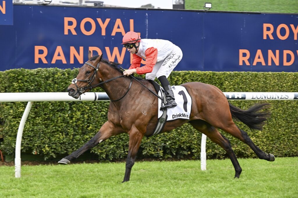Jockey in red cap and white-and-red silks on a galloping bay horse during a race, with Royal Randwick signs in the background.