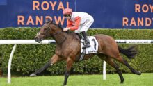 Jockey in red cap and white-and-red silks on a galloping bay horse during a race, with Royal Randwick signs in the background.