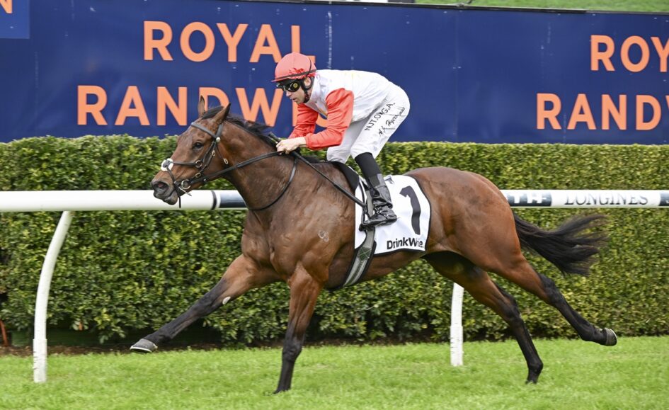 Jockey in red cap and white-and-red silks on a galloping bay horse during a race, with Royal Randwick signs in the background.