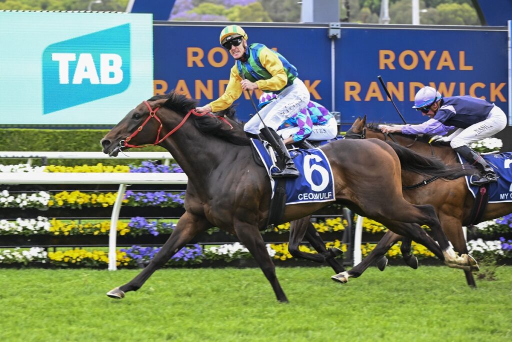 Galloping racehorse wearing blue numbered saddlecloth (number 6) with a jockey in yellow and green leading on a grassy track; another horse and rider close behind; sponsor boards visible in background (TAB, Royal Randwick).