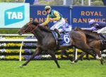 Galloping racehorse wearing blue numbered saddlecloth (number 6) with a jockey in yellow and green leading on a grassy track; another horse and rider close behind; sponsor boards visible in background (TAB, Royal Randwick).