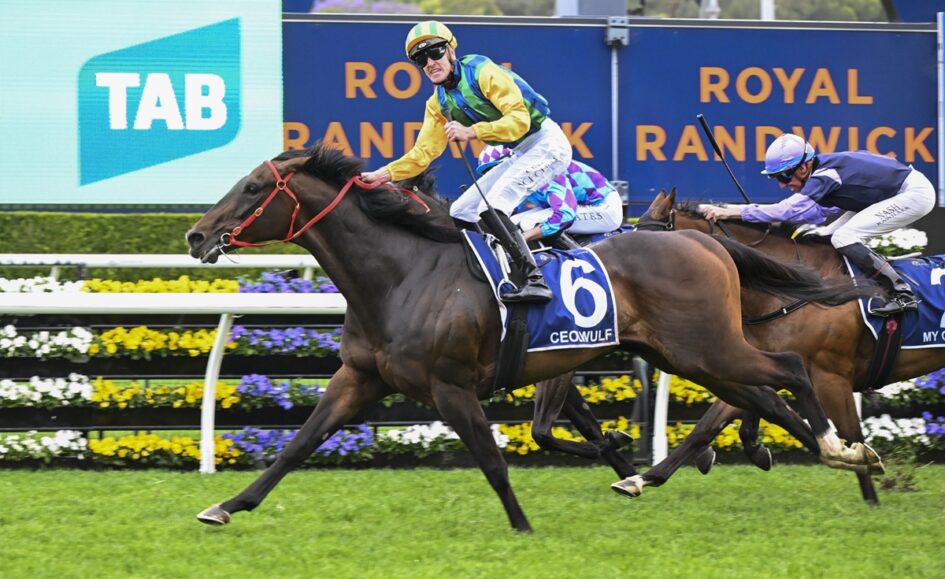 Galloping racehorse wearing blue numbered saddlecloth (number 6) with a jockey in yellow and green leading on a grassy track; another horse and rider close behind; sponsor boards visible in background (TAB, Royal Randwick).