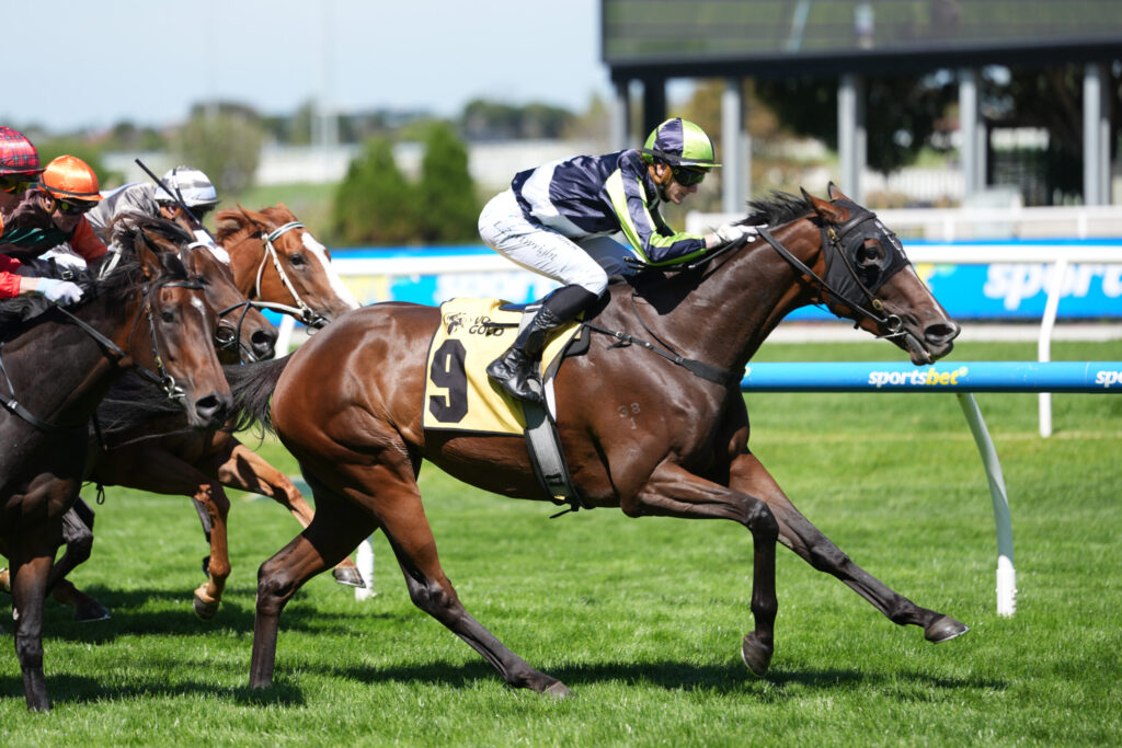 Jockey in neon green and black silks riding a bay horse at full gallop during a race on a sunny track infield.