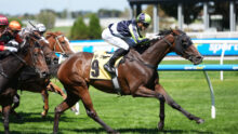 Jockey in neon green and black silks riding a bay horse at full gallop during a race on a sunny track infield.