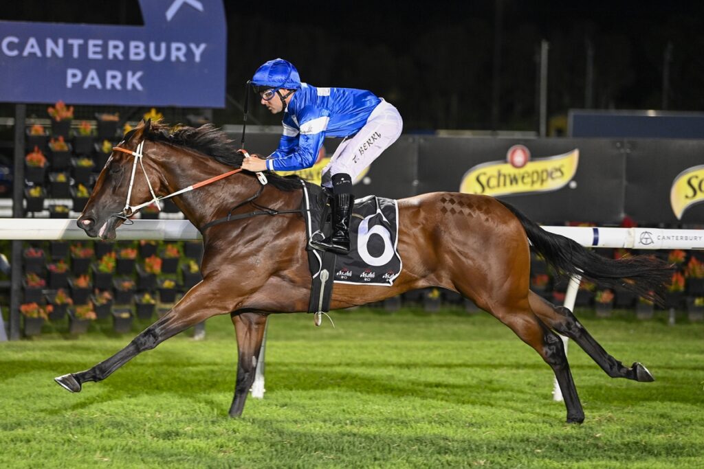 Horse and jockey in blue silks race at Canterbury Park, horse mid-stride with number 6 saddlecloth.