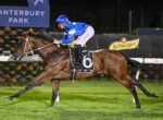 Horse and jockey in blue silks race at Canterbury Park, horse mid-stride with number 6 saddlecloth.