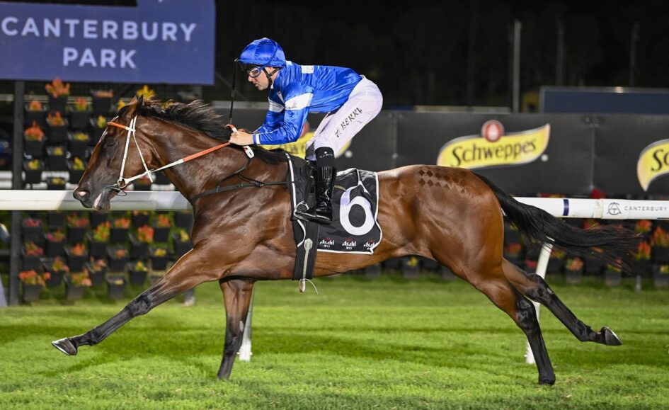 Horse and jockey in blue silks race at Canterbury Park, horse mid-stride with number 6 saddlecloth.