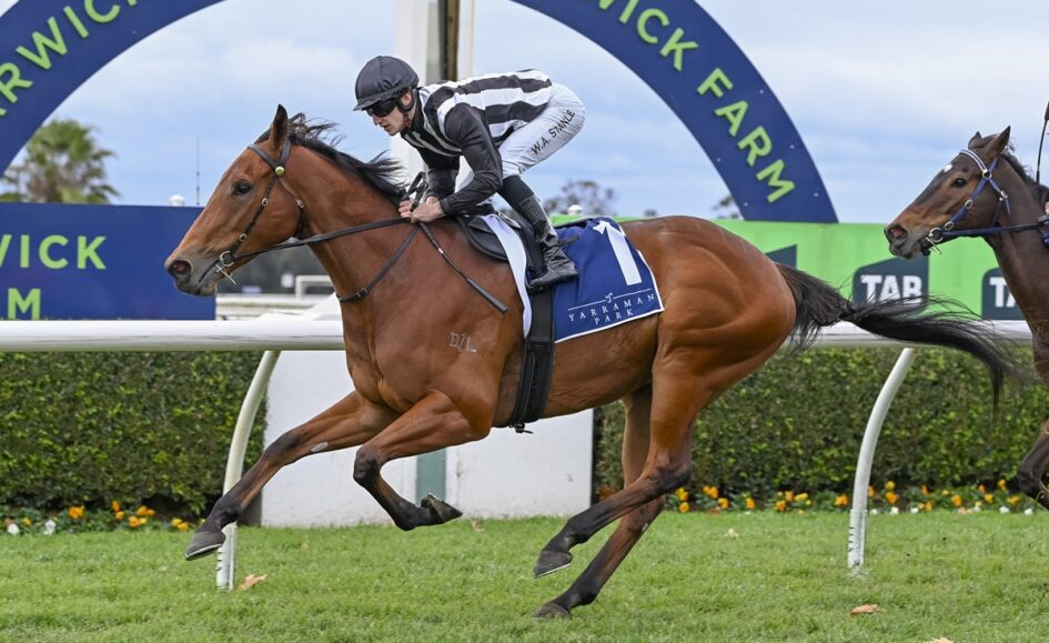 Jockey in black-and-white silks on a bay horse during a race at Yarraman Park, number 1 saddle cloth.