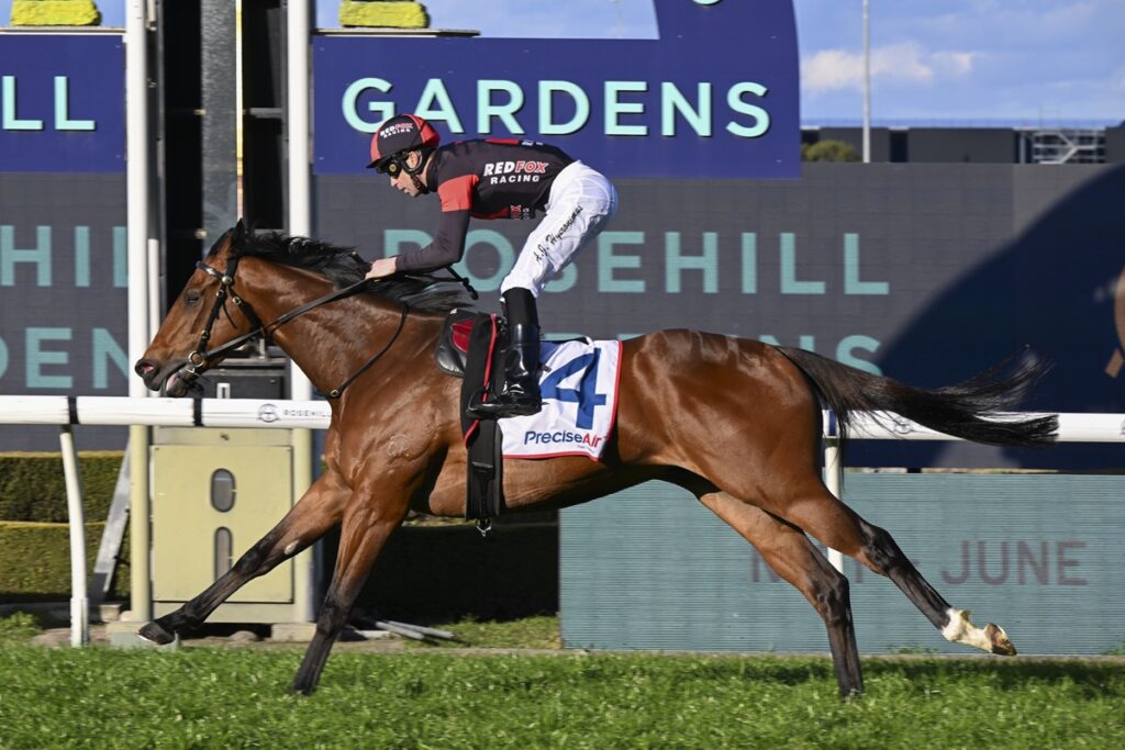 Brown racehorse with jockey in red and black silks, galloping on a grass track past blue sponsor signs nearby