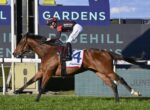 Brown racehorse with jockey in red and black silks, galloping on a grass track past blue sponsor signs nearby