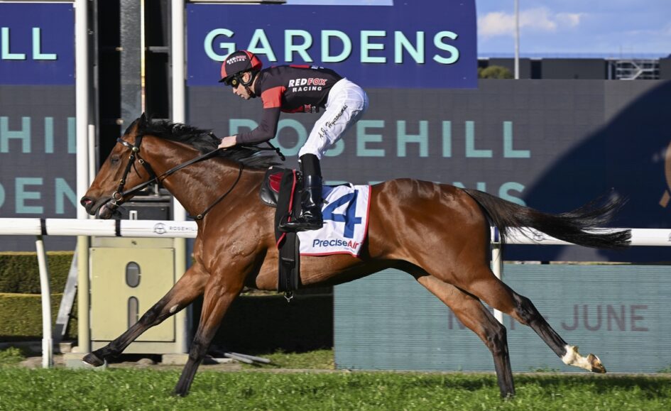 Brown racehorse with jockey in red and black silks, galloping on a grass track past blue sponsor signs nearby