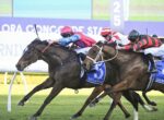 Three jockeys race neck-and-neck on sprinting horses toward the finish line at a track.