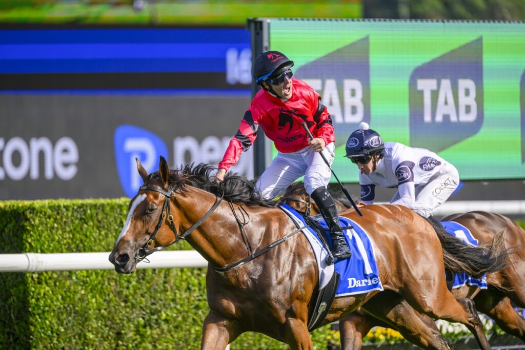 Jockey in red silks on a brown racehorse at full gallop during a race, with another rider in white behind and advertising boards in the background.