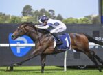 Jockey in white and blue silks rides a brown racehorse with saddlecloth No. 1 along the rails at Rosehill Gardens.