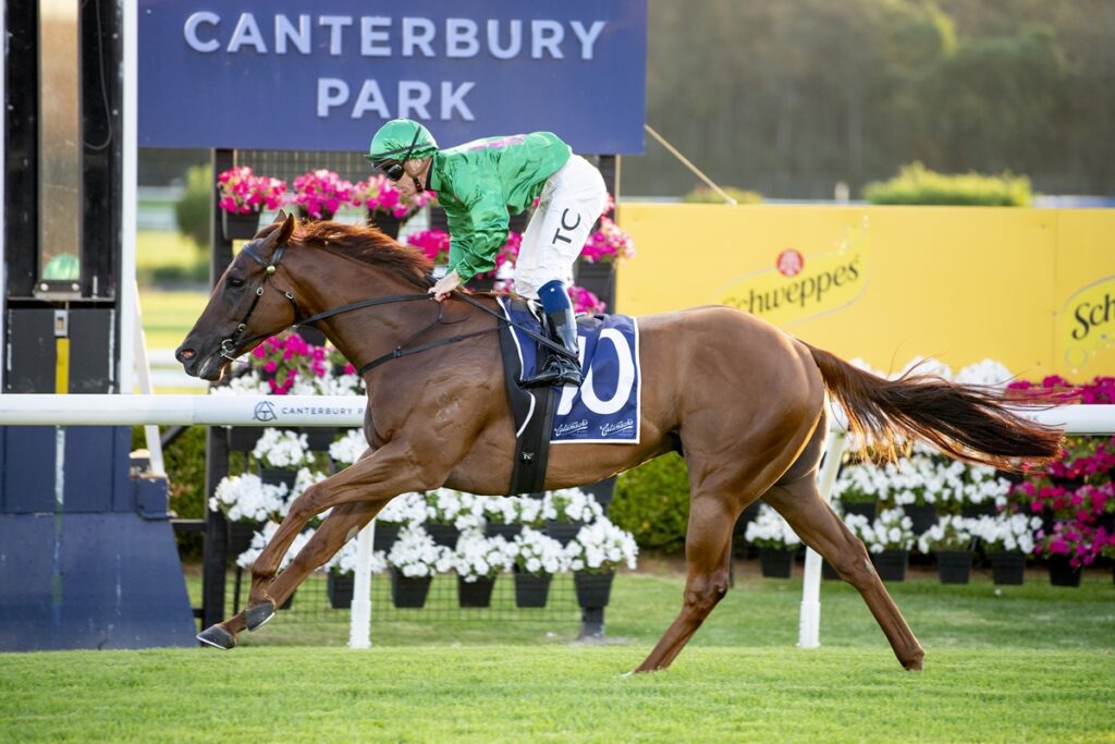 Horse and jockey sprinting on a Canterbury Park track, wearing green silks and white pants, number 5 bib visible.