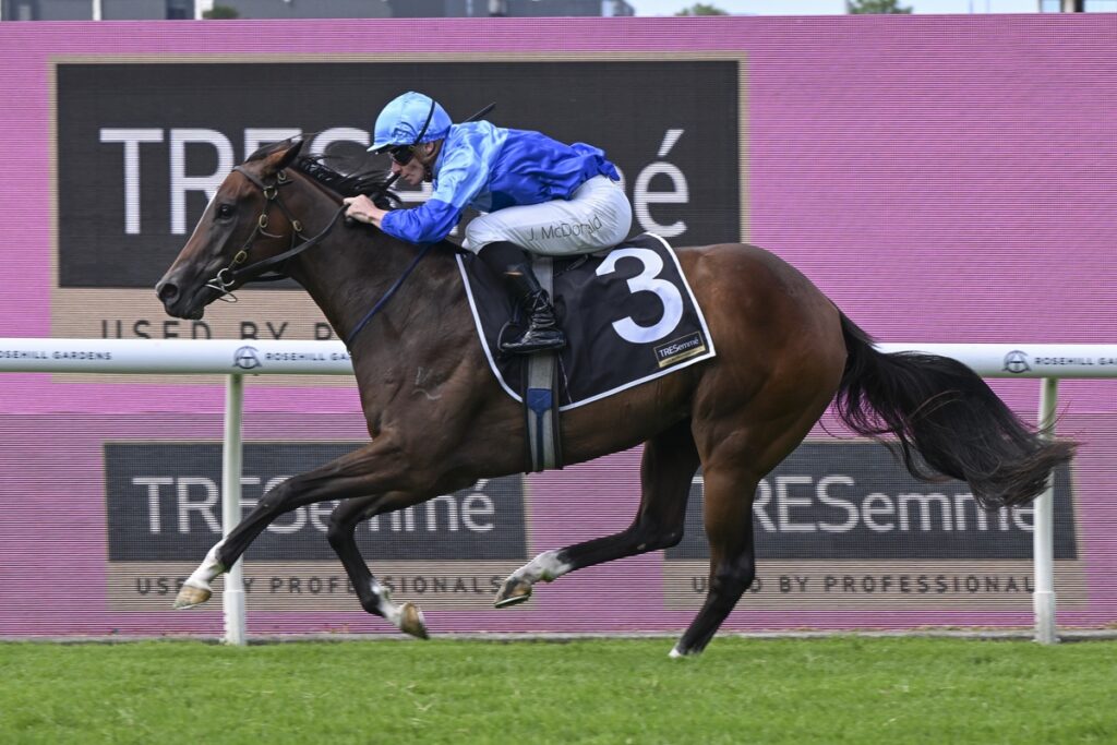 Horse and jockey racing at a track, blue silks, number 3 saddle cloth, galloping on grass with pink advertising boards in the background