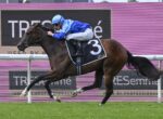 Horse and jockey racing at a track, blue silks, number 3 saddle cloth, galloping on grass with pink advertising boards in the background