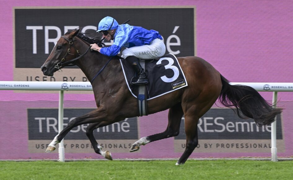 Horse and jockey racing at a track, blue silks, number 3 saddle cloth, galloping on grass with pink advertising boards in the background