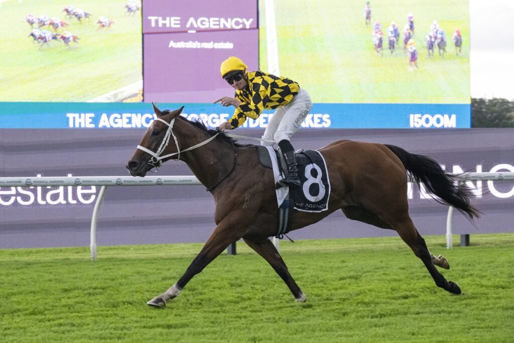 Jockey in yellow and black silks rides a brown horse with number 8 on a racecourse rail.