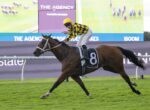 Jockey in yellow and black silks rides a brown horse with number 8 on a racecourse rail.