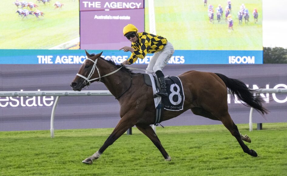 Jockey in yellow and black silks rides a brown horse with number 8 on a racecourse rail.