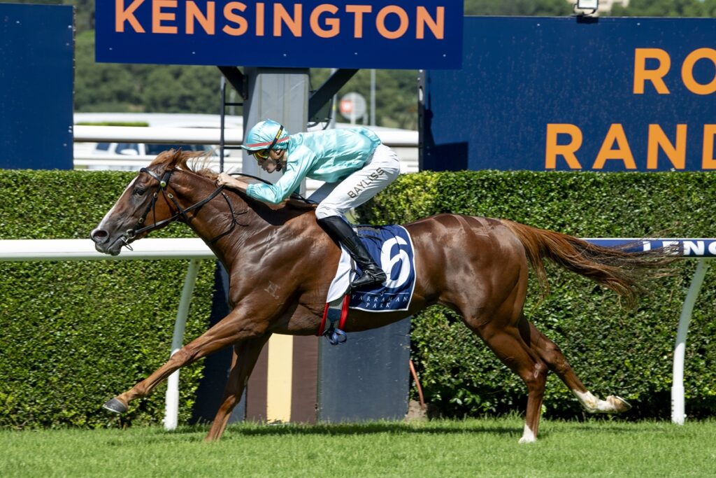 Jockey in teal silks and helmet rides a bay racehorse numbered 6 on a Keeneland track with green hedges nearby.