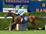 Jockey in teal silks and helmet rides a bay racehorse numbered 6 on a Keeneland track with green hedges nearby.