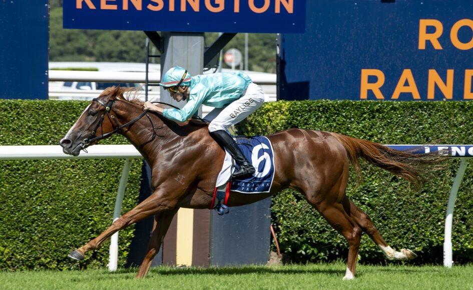 Jockey in teal silks and helmet rides a bay racehorse numbered 6 on a Keeneland track with green hedges nearby.