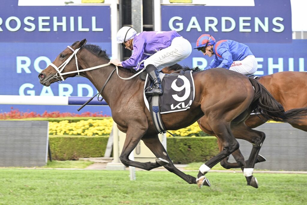 Two jockeys race a brown horse toward the finish line at Rosehill Gardens with a blue sign in the background.