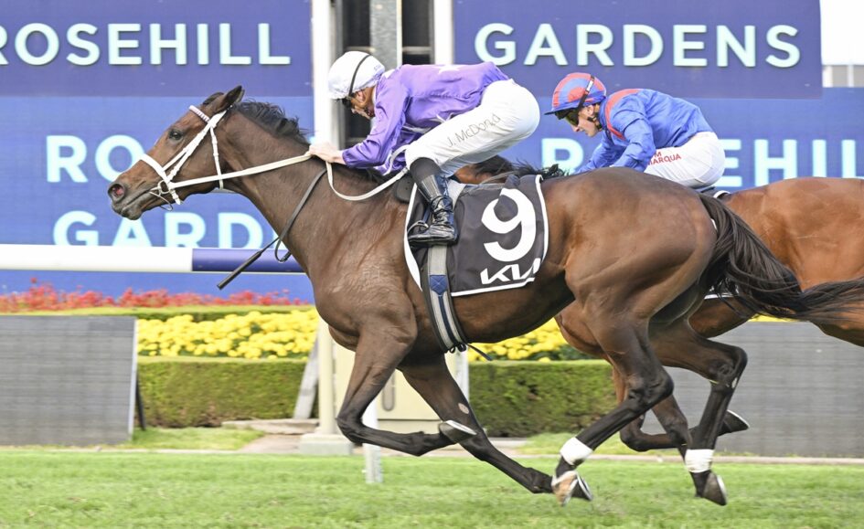 Two jockeys race a brown horse toward the finish line at Rosehill Gardens with a blue sign in the background.